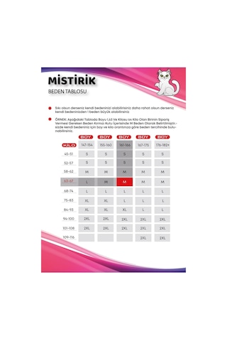 Mistirik Mabet Model Yüksek Bel Alt Karın Ve Göbek Sıkılaştıran Toparlayan Korseli Külot Gül Kurusu Renk Gül Kurusu
