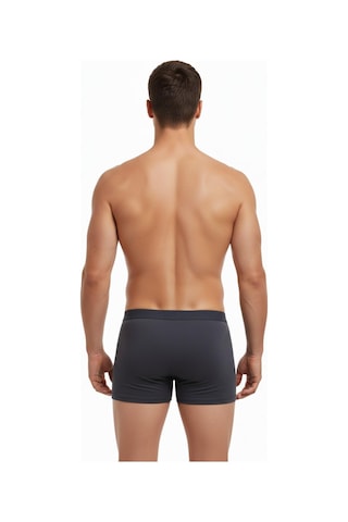 İki Yıldız Erkek Likralı Boxer Düz Renk Bgl-st05007 Füme