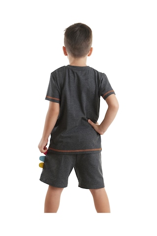 Denokids Rawr Dino Erkek Çocuk Yazlık T-shirt Şort Takım
