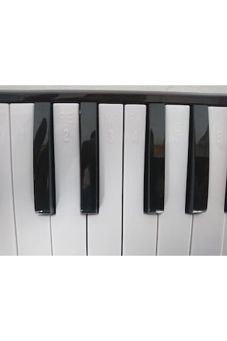 Cremonia Cr32Pk-12 Melodika 32 Tuşlu Pembe Renk 12 Li Paket Eva