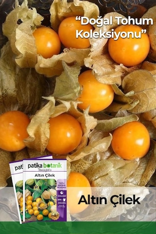 30 Adet Altın Çilek Tohumu