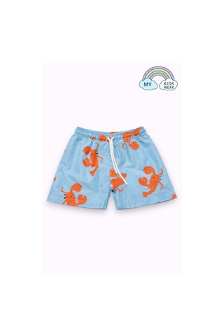 My Kids Wear Erkek Çocuk Degrade Desenli Deniz Şortu 2 Li Set 3-16 Yaş 12420 Çok Renkli