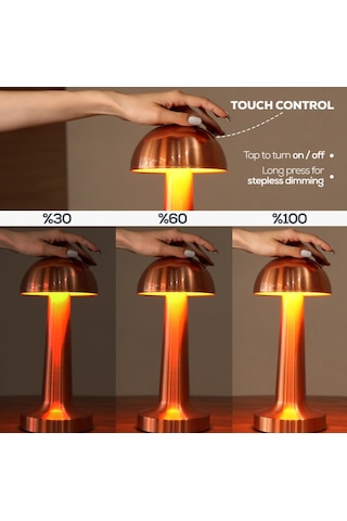 Cata CT-8430 Retro Bakır Dokunmatik Şarjlı Led Masa Lambası