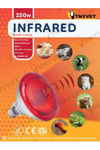 2 Adet/tnyvet E27 Duylu 250 Watt Infrared Isıtıcı Lamba Hayvan Barınakları İçin Etkili Isıtma 250 Watt / 2 Adet