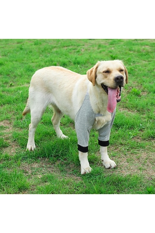 Homyl Köpek Dizlik Bacak Koruyucu Bileklik Köpekler L-gri