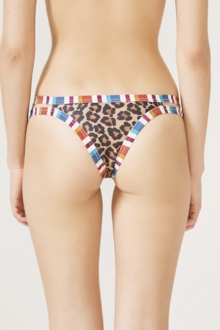 Penti Linosa Side Bikini Altı Baskılı Çok Renkli