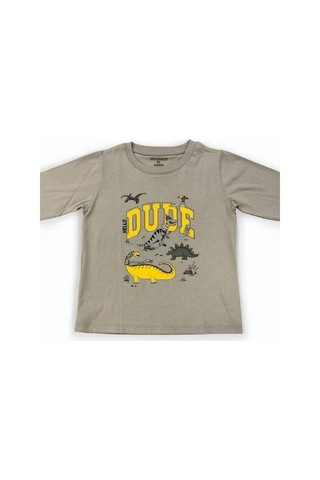 Divonette Erkek Çocuk Dinazor Baskılı Uzun Kollu T-shirt-15088 Gri