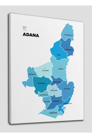 Doğaltercih Adana İli ve İlçeler Haritası Dekoratif Kanvas Tablo 1247