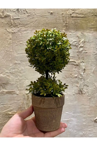 Minimalist Çift Katlı Yeşim Topiary Aranjmanı 24 Cm X 10 Cm Yeşil