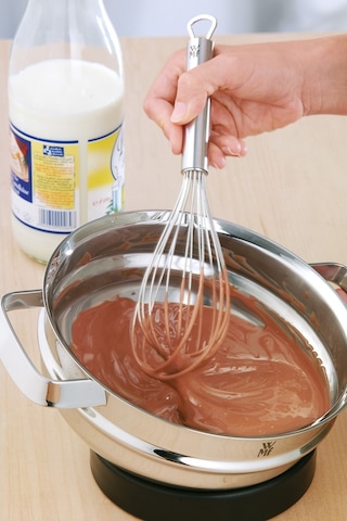 Wmf Profi Plus Çırpıcı 25 CM Gri