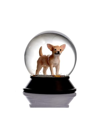 Cam Ve Reçine Altın Patiler Köpek Chihuahua Kayısı Kar Küresi Hediye
