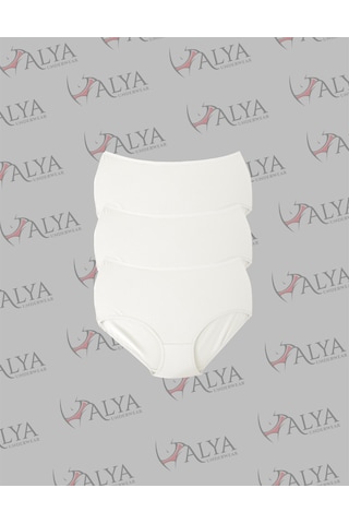 Alya Underwear Kadın Battal Külot - 3 Adet Ten 5xl, 6xl, 7xl Beyaz