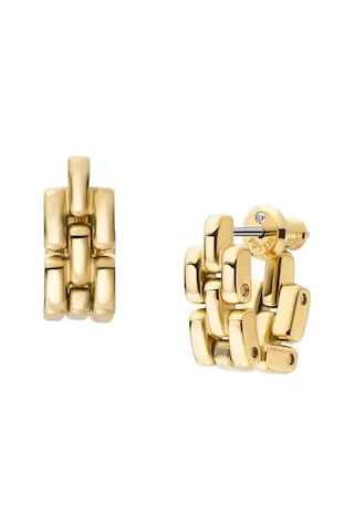 Fossıl Jf04902-710 Altın