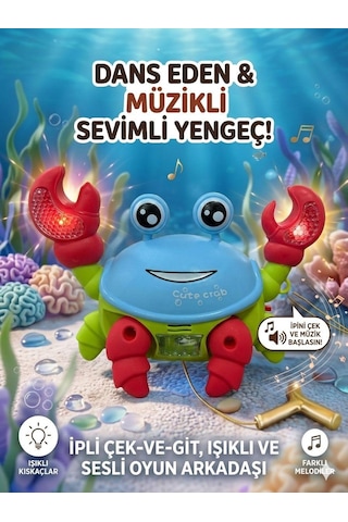 Tıfıl Toys İpli Kurmalı Yürüyen Yengeç 5099d