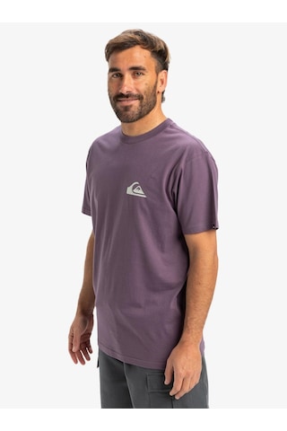 Quiksilver Ev Mini Logo Ss Erkek T-shirt-29760 Mor
