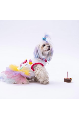 Happy Birthday Kedi Köpek Elbisesi - Kedi Köpek Kıyafeti