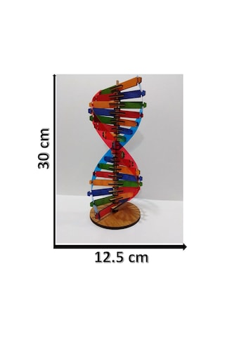 Modeli Eğitici Ahşap Seti 30cm