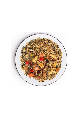 Gold Wings The Best Meyveli Papağan Yemi 1.25 Kg