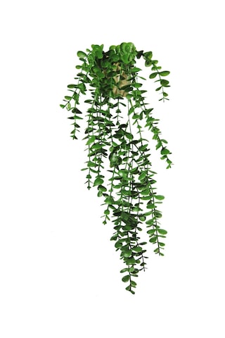 Yapay Çiçek Elmas Gold Saksıda Yeşil Okaliptus Sarkıtı Yeşil