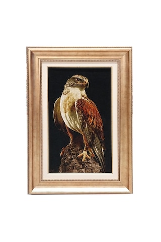 İran El Dokuması Tablo Halı Şahin Ebat: 40 X 76 Cm Çok Renkli
