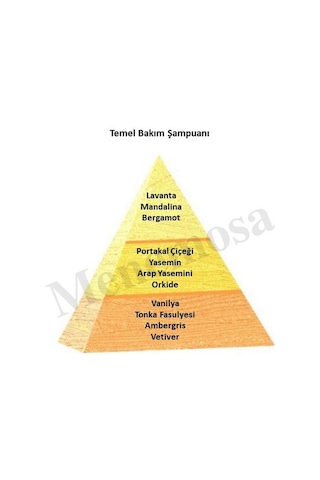 Bargello Temel Bakım Şampuanı 250 ML