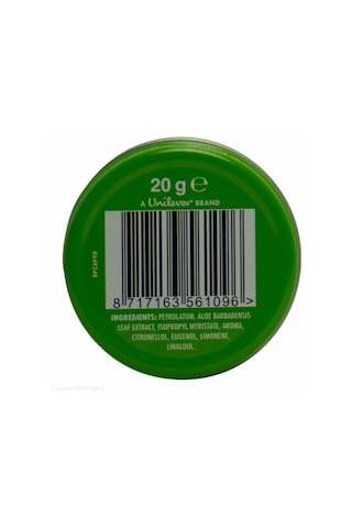 Vaseline Aloe Vera Petroleum Jelly Lip Therapy Dudak Kremi 20 G