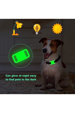 Lichen Şeffaf Aydınlık Yeşil-hava Etiketi Su Geçirmez Ve Kayıp Beyaz