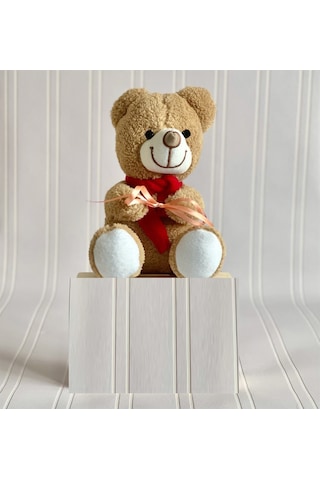 Peluş Ayıcık