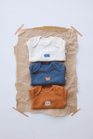 3lü Nakışlı Çıt Çıtlı Uzun Kollu Body Zıbın Set Model 4 Tarçın