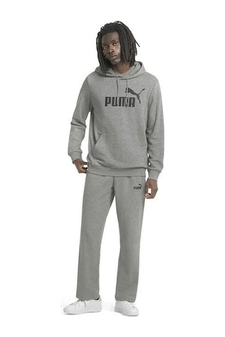 Puma Ess Big Logo Hoodie Erkek Sweatshırt-gri