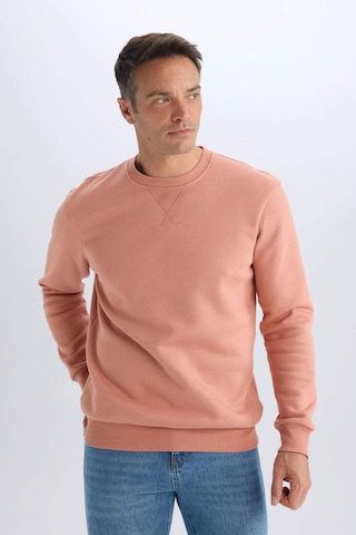 DeFacto Regular Fit Bisiklet Yaka Kalın Basic Düz Sweatshirt T3777AZ25SPPN602