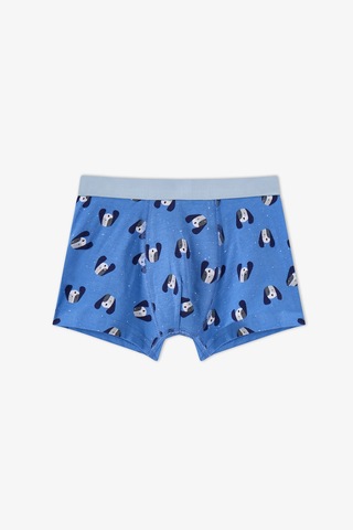Penti Erkek Çocuk Mavi Paws For Joy Pamuklu 3lü Boxer