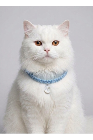 Mavi El Örgüsü Makrome Kedi Tasması 27 Cm - Ay Figürlü Charm Şık Kedi Boyun Tasması
