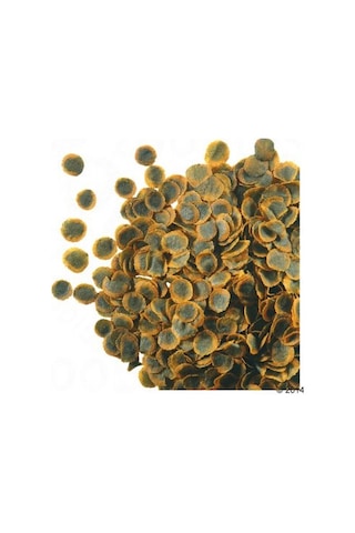 Tetra Pro Algae 500gr ( Kovadan Bölme )