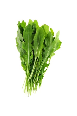 Roka Tohumu Yerli Roka Tohumu Yetiştirme Kiti