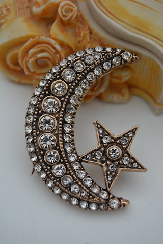 Stoneage Jewellery Zirkon Taşlı Ay Yıldız Broş Yaka İğnesi Çok Renkli