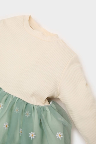 DeFacto Kız Bebek Çiçekli Uzun Kollu Tül Elbise D9327A525SPGN1114 Yeşil