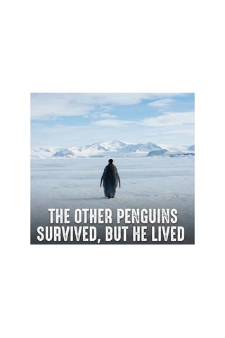 Barlashive Erkek Survivor Penguin Baskılı 3 İplik Pamuklu Kapüşonlu Sweatshirt Hoodie Beyaz Çok Renkli