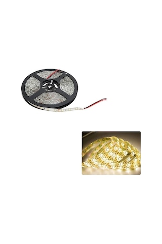 Cata Dış Mekan Silikonlu Günışığı Şerit Led Ct-4488 5 METRE