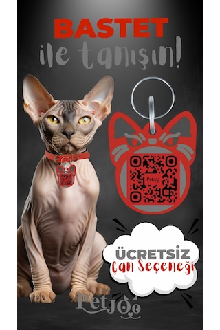 Petjoo 1.Bastet Gri-Kırmızı Qr'lı Kedi Künyesi
