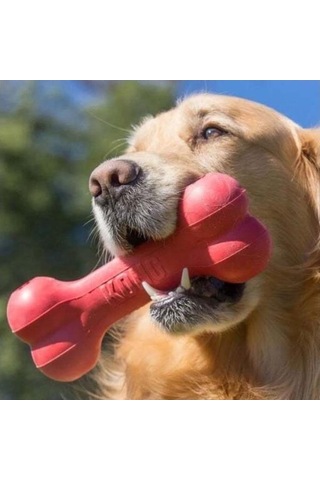 Kong Kemik Şeklinde Kauçuk Köpek Oyuncağı Large