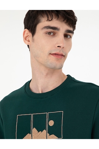 Pierre Cardin Erkek Yeşil Sweatshirt 50290703-vr054