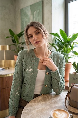 Sayzen Your Shine Dantel Desenli Gold Düğmeli Basic Ceket Çağla