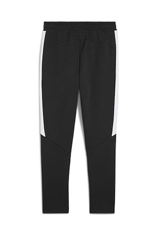 Puma Team Evostripe Pants Erkek Futbol Antrenman Eşofman Altı 65994803 - Siyah 65994803 Siyah