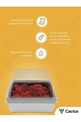 Cactus Bento Kutusu, Kek Kutusu 10 Cm, 10 Adet 254505675 100 adet