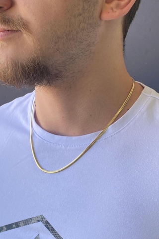 Zümrüt Sarraf 14 Ayar Altın Balık Sırtı Zincir Erkek Kolye