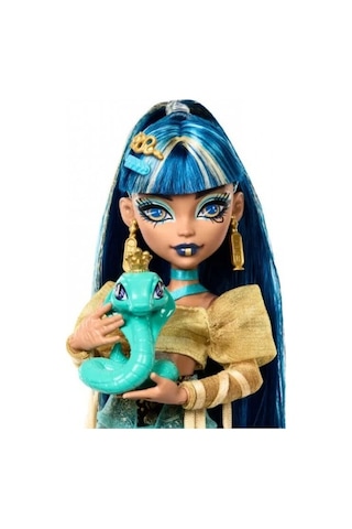 Monster High Acayip Havalı Arkadaşlar Cleo De Nile Bebek Hxh74 MONSTER.027 Diğer