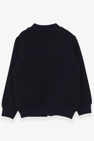 Breeze Erkek Çocuk Hırka Basic Cepli Armalı 2-6 Yaş, Lacivert