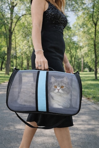 Newfull Kedi Taşıma Çantası Seyahat Evcil Hayvan Çantası Fileli Büyük Bot