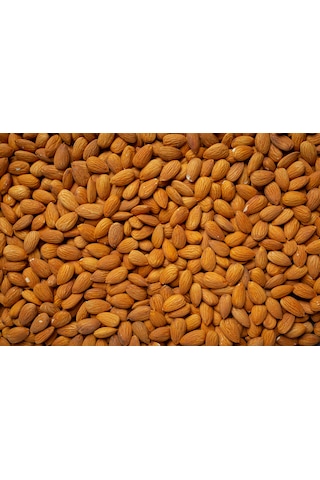 İslimli Kayısı Çekirdeği Tatlı & Kavrulmamış 1 KG